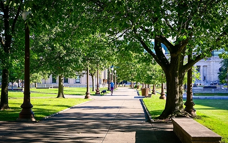 oasis-amenities-shaded-area